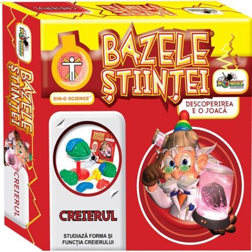 Creierul - Bazele Stiintei